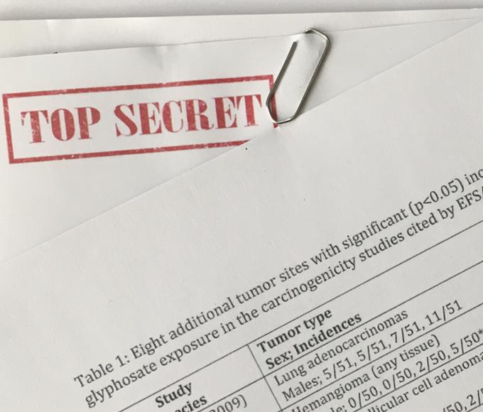 EU-Behörden übersahen Tumorbefunde in bislang geheimen Glyphosat-Studien EU-Behörden übersahen Tumorbefunde in bislang geheimen Glyphosat-Studien