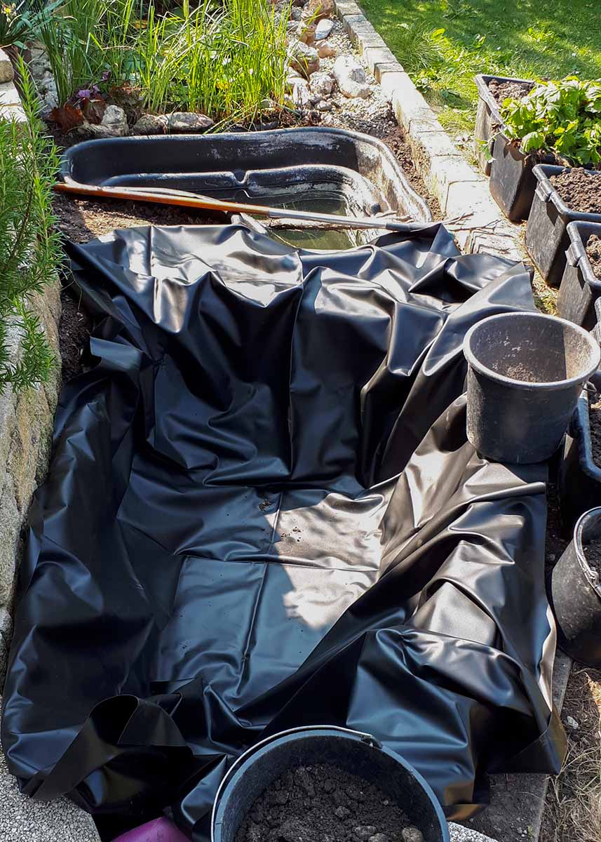 Teich und Sumpfbeet anlegen GLOBAL 2000