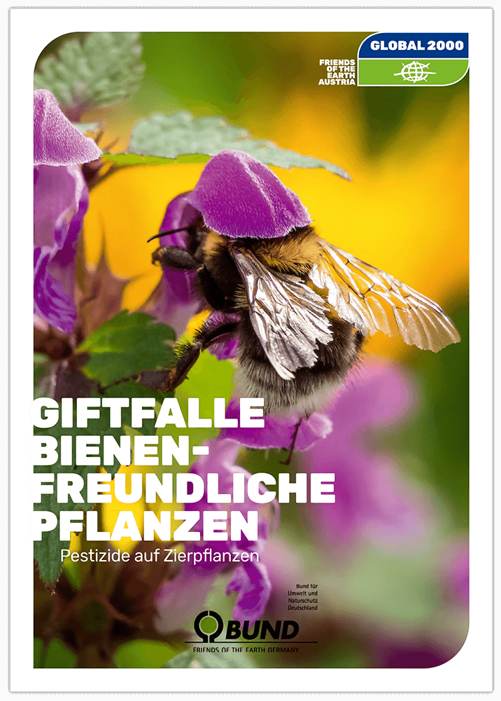 Test: Giftfalle bienenfreundliche Pflanzen Cover Test: Giftfalle bienenfreundliche Pflanzen