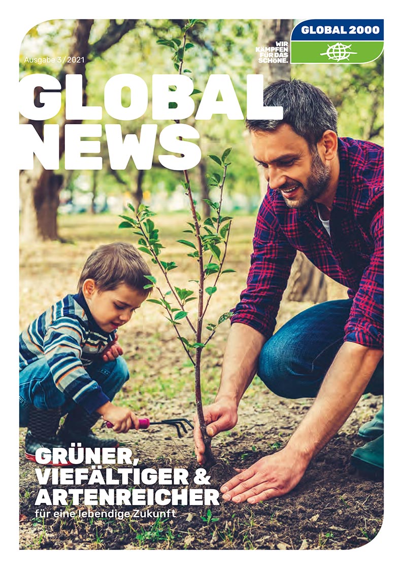 GLOBAL News Vol. 3 2021 Coverbild GLOBAL News Vol. 3 2021