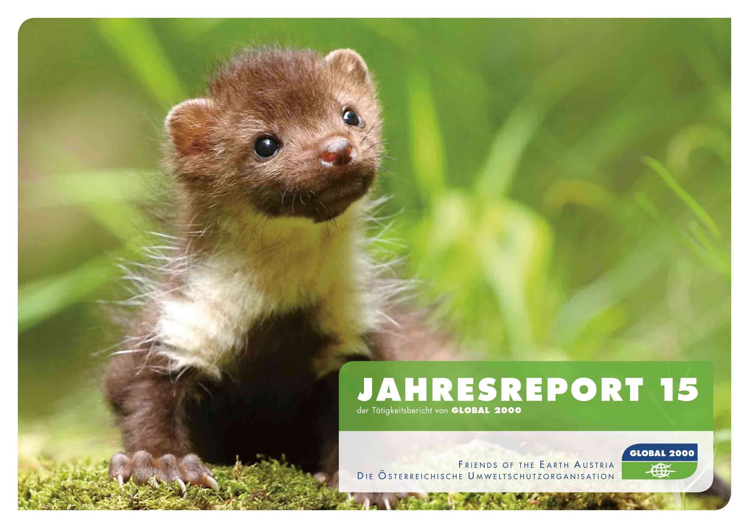 Jahresreport 2015 Jahresreport 2015