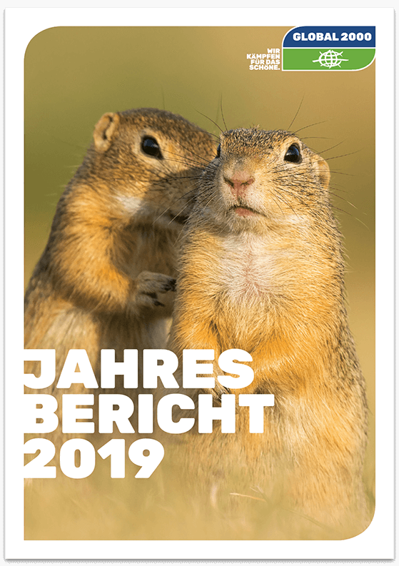 Jahresreport 2019 Cover Jahresreport 2019