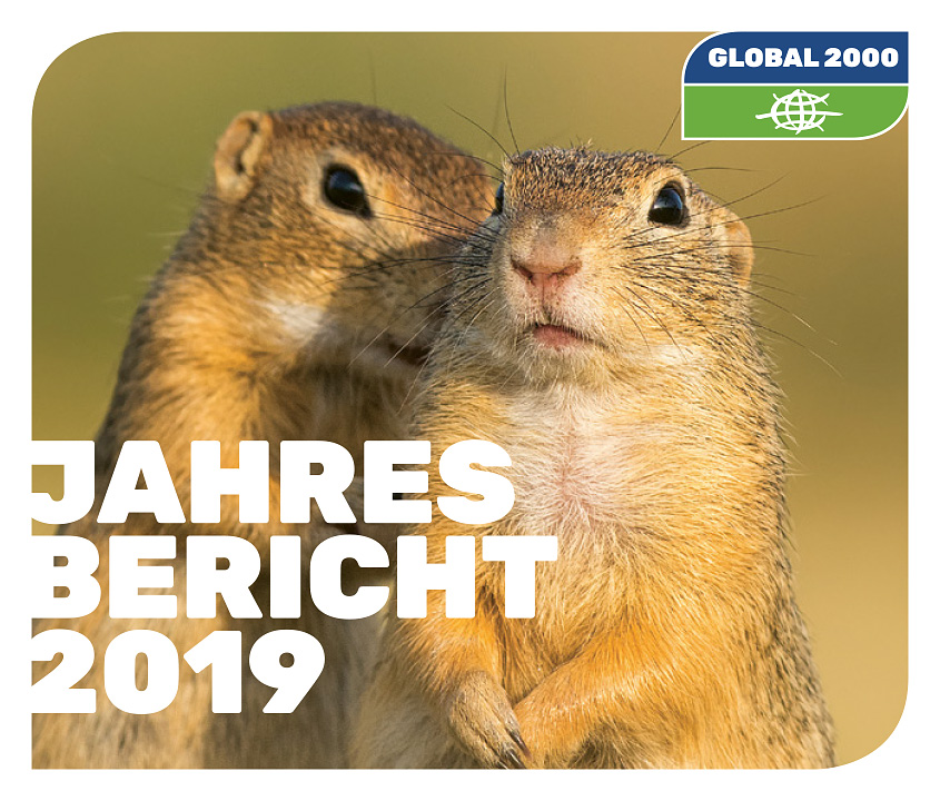 Cover: Jahresreport 2019