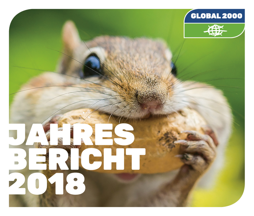 Streifenhörnchen mit Nuss Streifenhörnchen mit Nuss