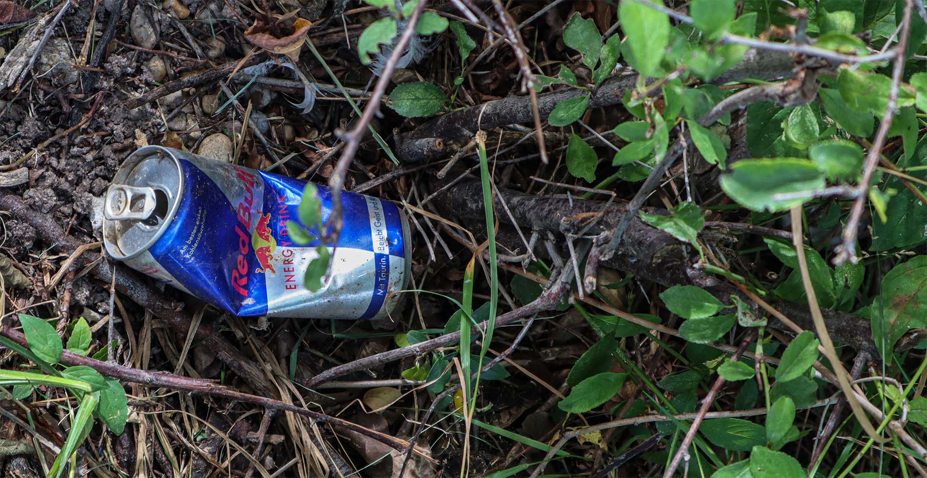 Pfand drauf! Alu-Getränkedose liegt in der Natur