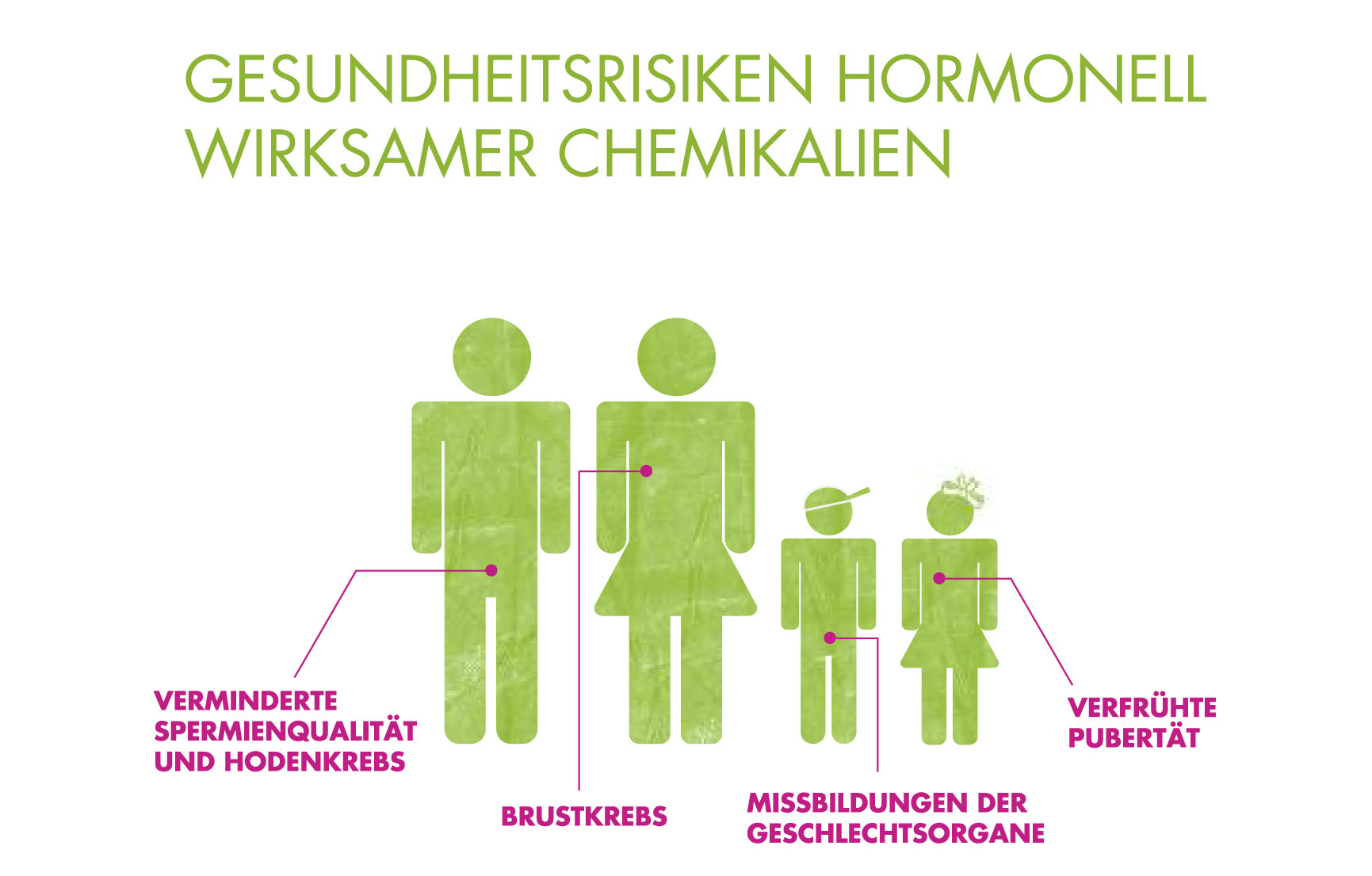 Auswirkungen von hormonell wirksamen Chemikalien Auswirkungen von hormonell wirksamen Chemikalien, Grafik: BUND/i-gelb