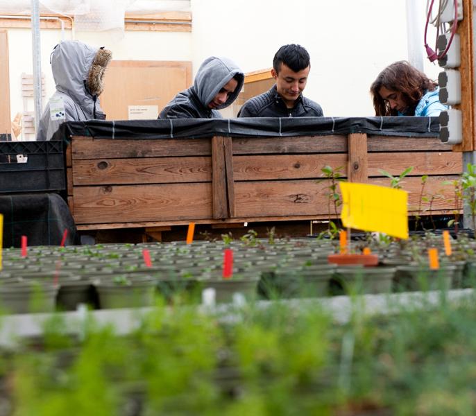 Umwelt und Integration in Gänserndorf zam.wachsen Projekt