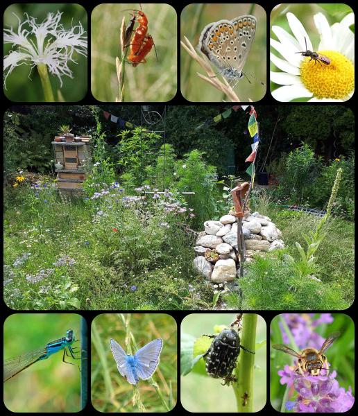 GewinnerInnen Nationalpark Garten Fotowettbewerb 2019 GLOBAL 2000