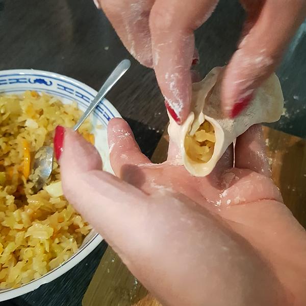 Vegane Gyoza Vegane Gyoza