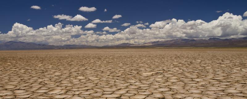 Rissiger, ausgetrockneter Boden auf dem nichts mehr wächst