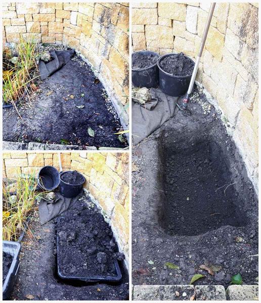 Sumpfbeet mit Teichschale anlegen (c) Suppan Sumpfbeet mit Teichschale anlegen