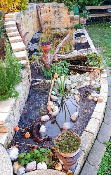 Sumpfbeet (c) Suppan Fertiges Sumpfbeet