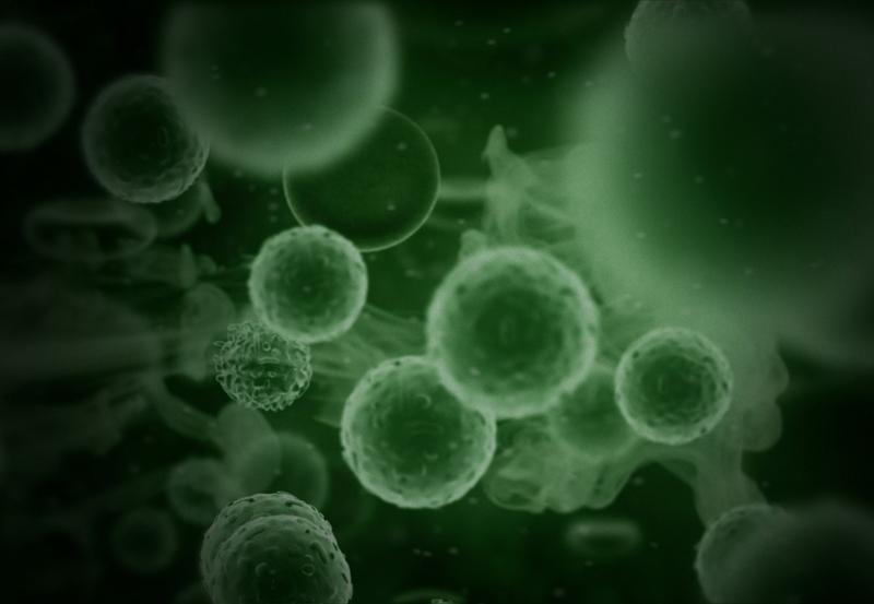 Bild: Chemotherapie (c) Gerolf Nikolay / flickr.com Zellen