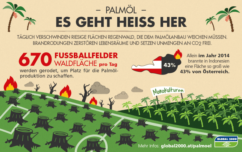 Warum ist Palmöl schlecht? | GLOBAL 2000