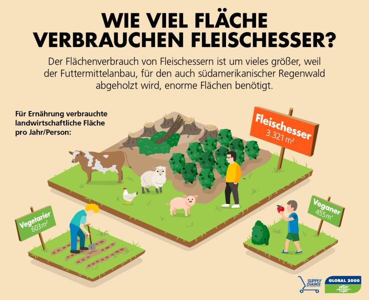 Flächenverbrauch von Fleischessern vs. Vegetariern vs. Veganern Flächenverbrauch von Fleischessern vs. Vegetariern vs. Veganern