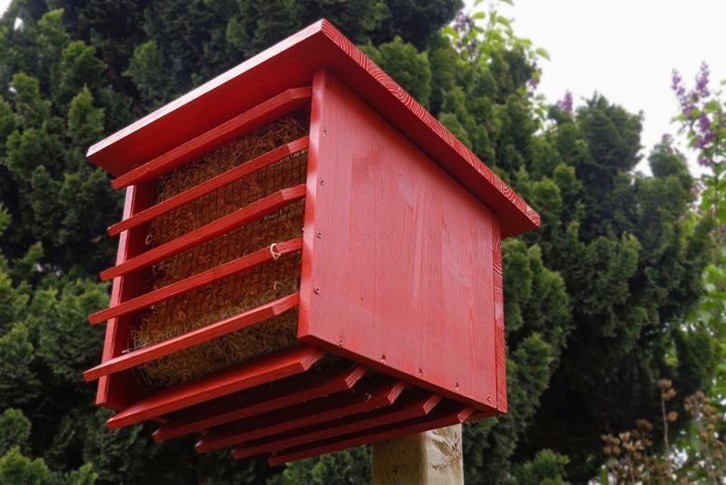 Florfliegenkasten Florfliegenkasten