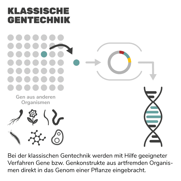 Klassische Gentechnik Klassische Gentechnik