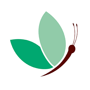 Knotenpunkte für Schmetterlinge Knotenpunkt Icon