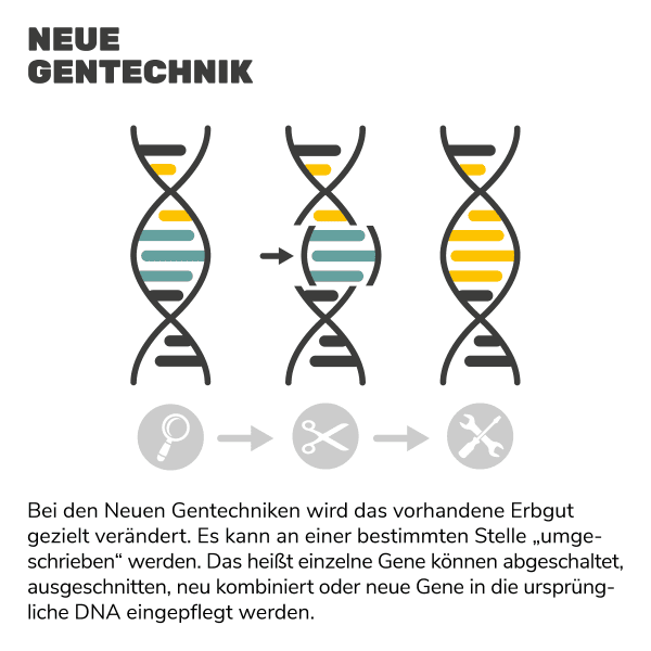 Neue Gentechnik Neue Gentechnik