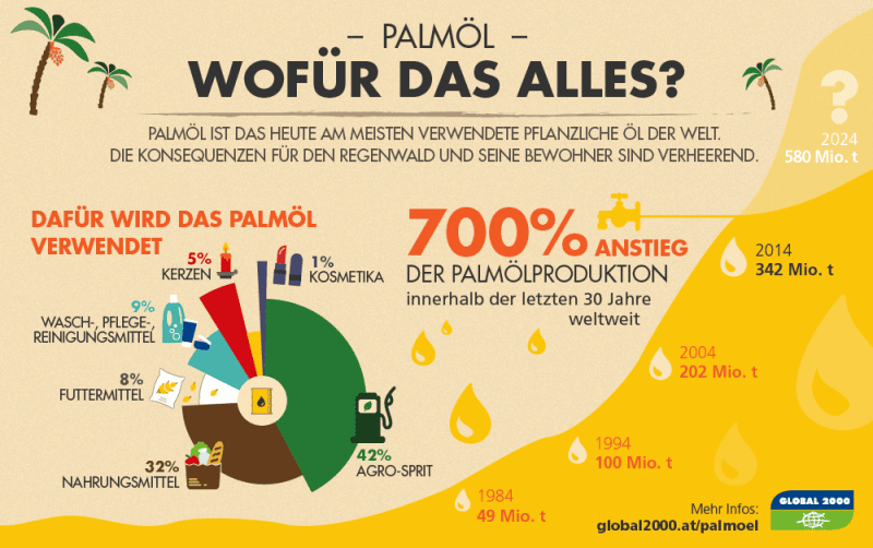 Grafik: Wofür brauchen wir Palmöl?