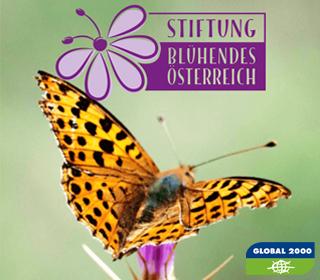SchmetterlingsApp GLOBAL 2000