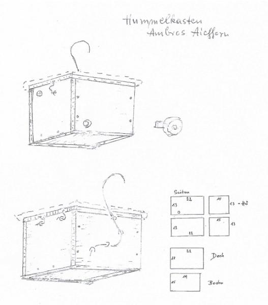 Skizze der Hummelkiste von Ambros Aichhorn