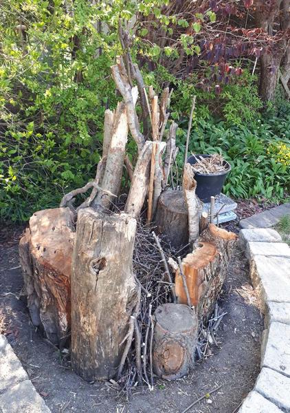 Käferkeller im Garten vom Frau Suppan Käferkeller im Garten vom Frau Suppan