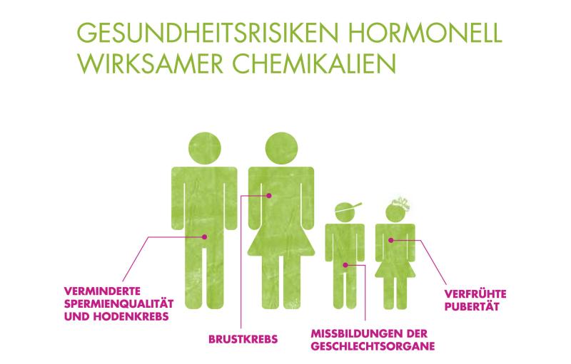 Auswirkungen von hormonell wirksamen Chemikalien, Grafik: BUND/i-gelb