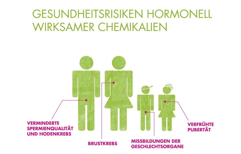 Auswirkungen von hormonell wirksamen Chemikalien Auswirkungen von hormonell wirksamen Chemikalien, Grafik: BUND/i-gelb