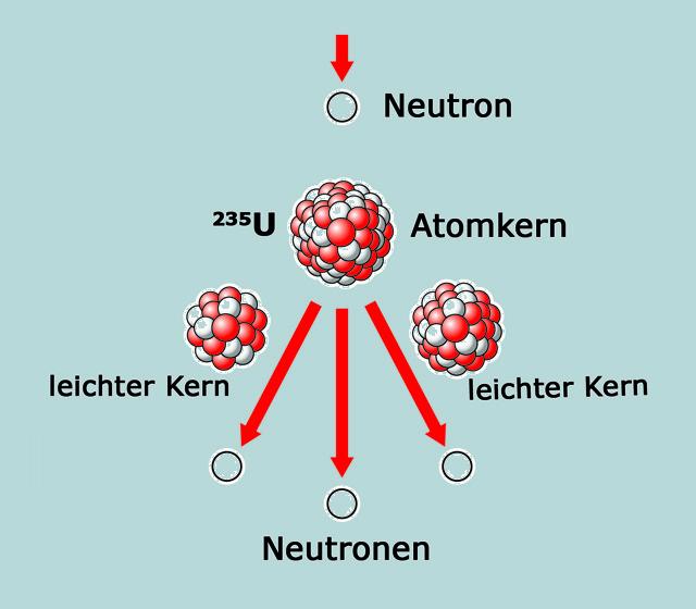 So funktioniert Kernspaltung: Ein Neutron trifft auf einen Atomkern und spaltet diesen in zwei leichtere Kerne. Durch die Spaltung werden weitere Neutronen freigesetzt, die weitere Kerne spalten.