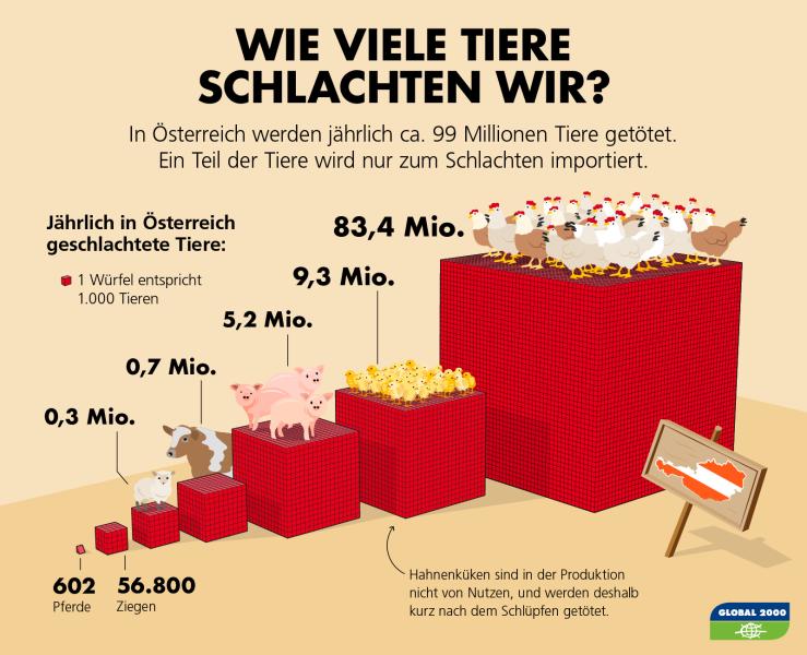 Wie viele Tiere schlachten wir in Österreich?