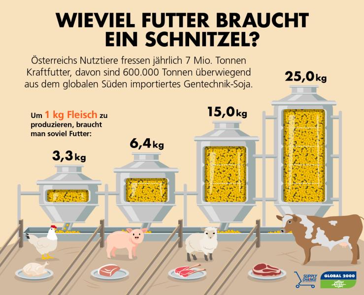 Futtermittelverbrauch für ein Kilogramm Fleisch