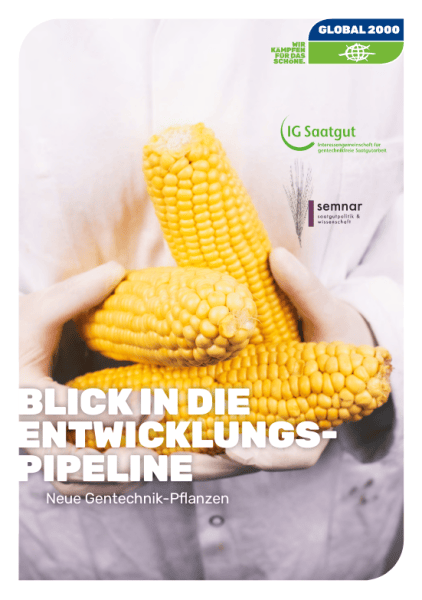 Cover der Publikation "Blick in die Entwicklungspipeline - Neue Gentechnik Pflanzen"