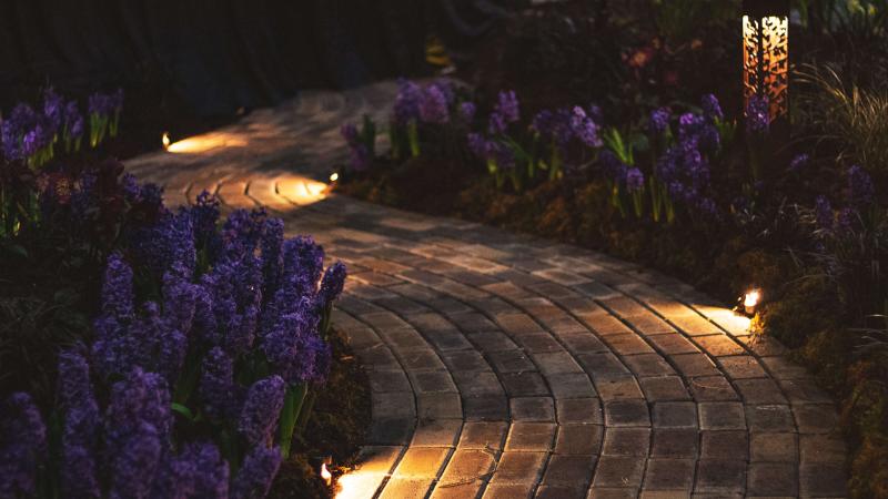 Beleuchteter Gartenweg bei Nacht