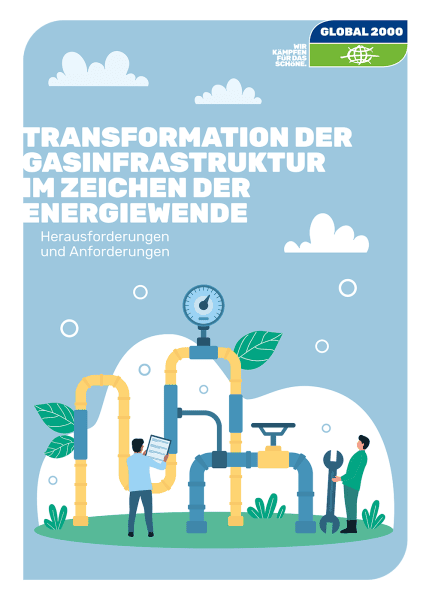 Cover: Transformation der Gasinfrastruktur im Zeichen der Energiewende