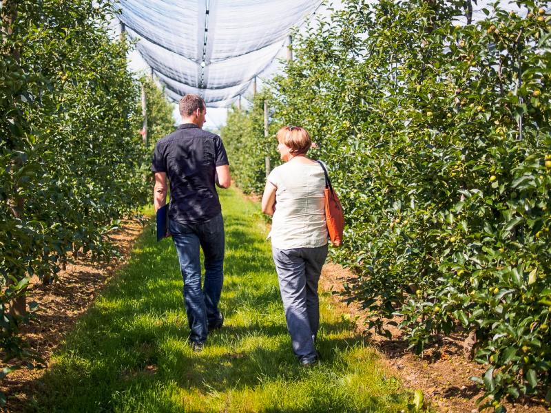 Das PRP kontrolliert Apfelplantagen