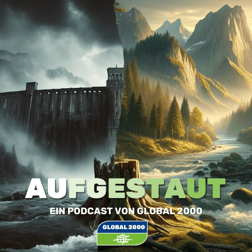 Eine illustrierte Darstellen von einem Wasserkraftwerk auf der linken Seite und auf der rechten Seite eine Naturlandschaft in den Bergen. Darüber der Schriftzug "Aufgestaut - Ein Podcast von GLOBAL 2000"