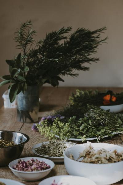 Auf einem Holztisch stehen verschiedene Schüsseln, sie sind gefüllt mit frischen und getrockneten Kräutern. 