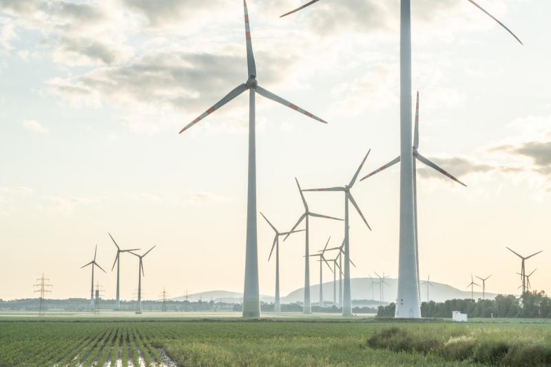 Zahlreiche Windräder auf einem Feld