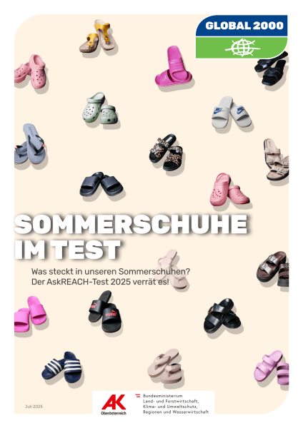 Sommerschuhe im Test Cover