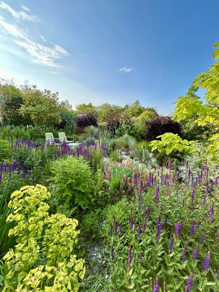 Naturgarten mit viel Grün