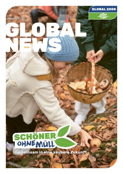 Kind sammelt Kastanien in herbstlichem Wald