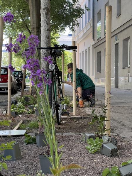 Begrünung der Jägerstrasse