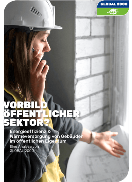 Teaser Report Vorbild öffentlicher Sektor?