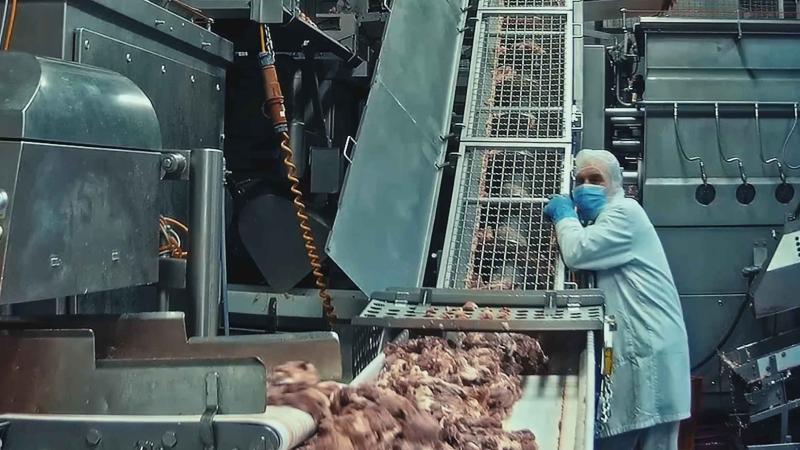 Sujet für Food for Profit, das einen Menschen in der Massentier-Fleischproduktion zeigt