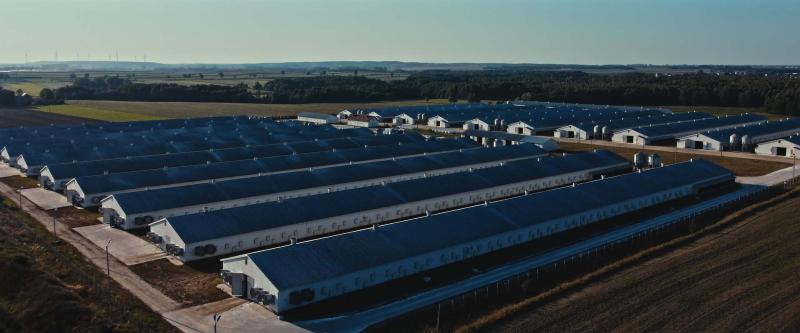 Massentierhaltungshallen von oben