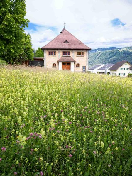 Blühende Wiese in Göfis mit Haus dahinter