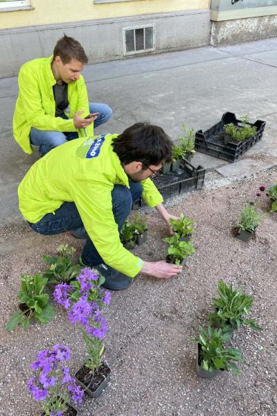 Zwei Personen in gelben Jacken mit GLOBAL 2000 Logo pflanzen verschiedene grüne und blühende Pflanzen in einem Beet mit Kiesboden