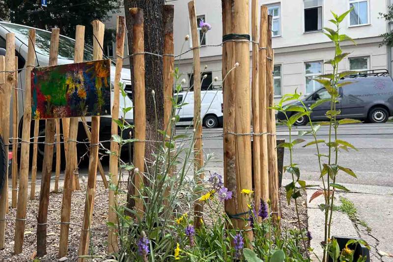 Holzlattenzaun in der Jägerstraße mit wilden Blumen und Pflanzen, im Hintergrund Parkplatz und Gebäude.