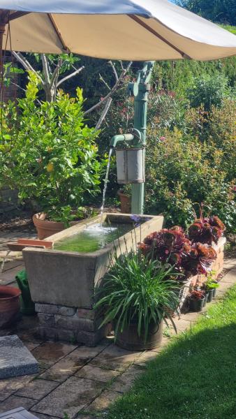 Hausbrunnen mit fließendem Wasser, umgeben von Blumen und Pflanzen